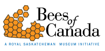 Bees of Canada Logo